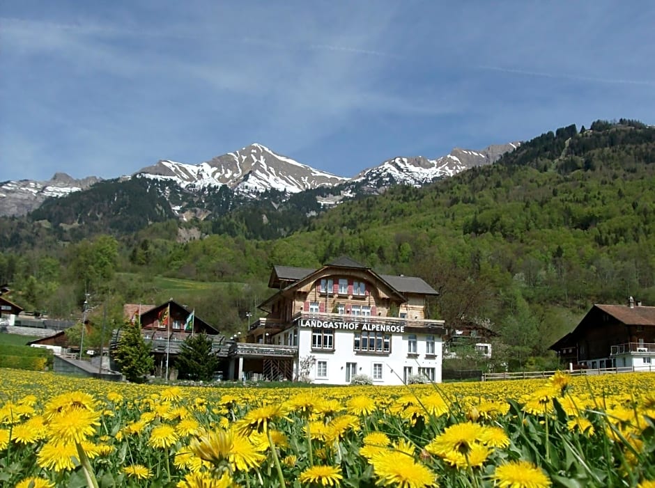 Hotel Alpenrose beim Ballenberg