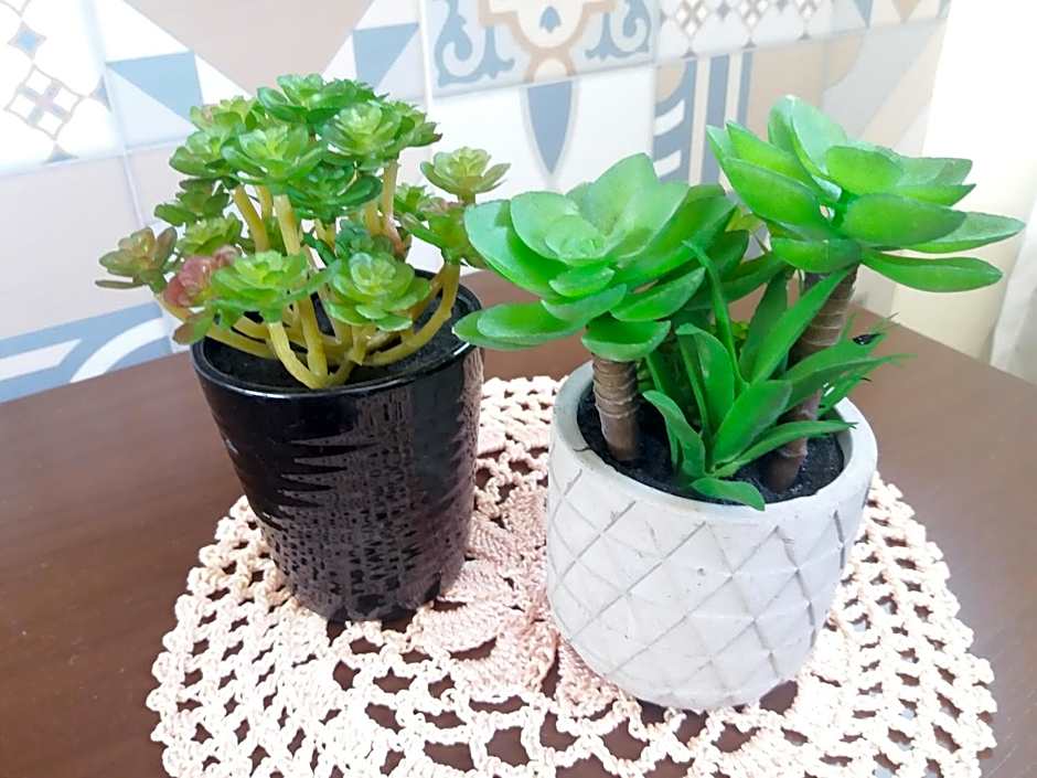 Apartamento lindo, completo e de frente para o mar