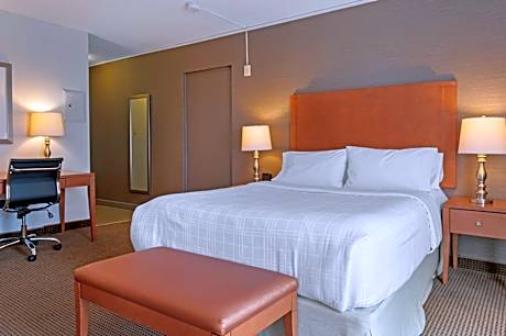 Suite-1 Queen 1 Double Non-Smoking Microwave And Refrigerator Wi-Fi