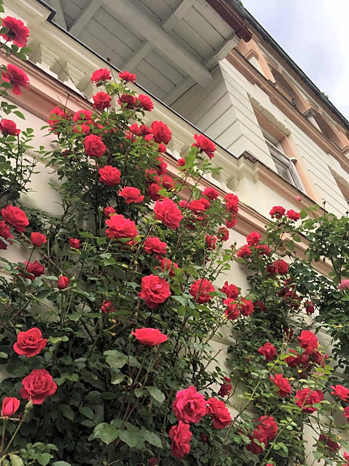 Villa Excelsior Hotel & Kurhaus