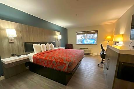 1 King Bed Deluxe Suite Non-Smoking