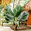 Mayan Playa Bacalar