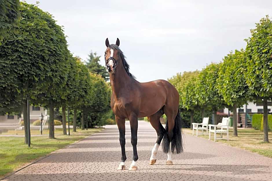 Sielanka Nad Pilicą