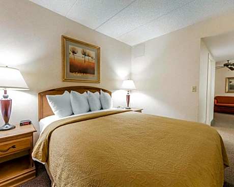 1 King Bed Suite Nonsmoking