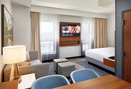 1 King Bed 1 Room Studio Suite