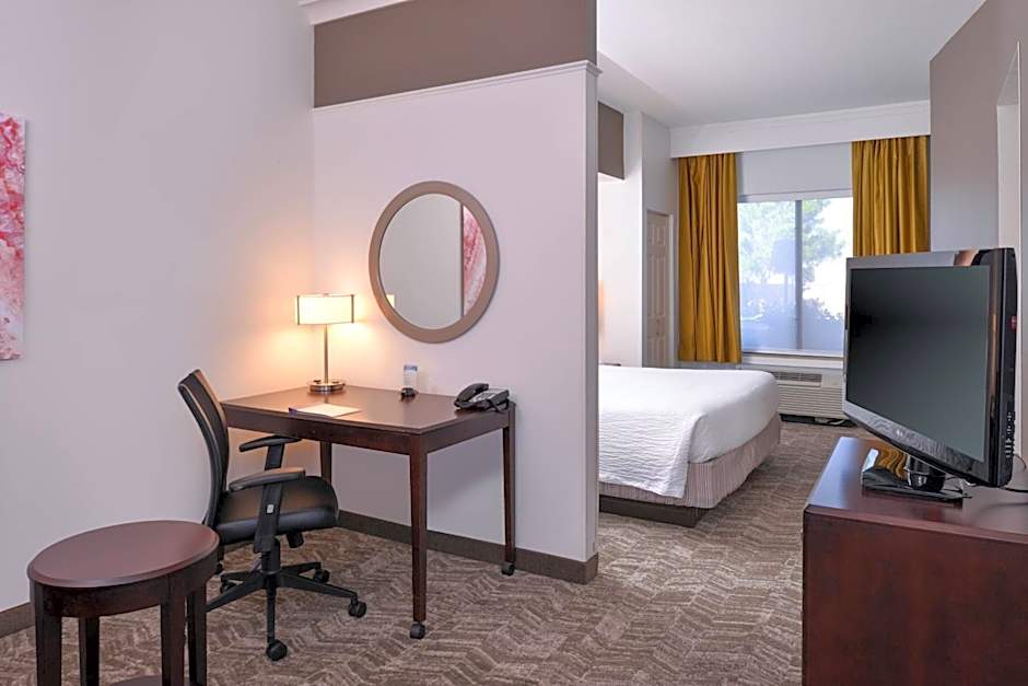 Photo 1 of 4 of 1 King Bed with Sofabed Suite, Hearing/Mobility Accessible, Bathtub
