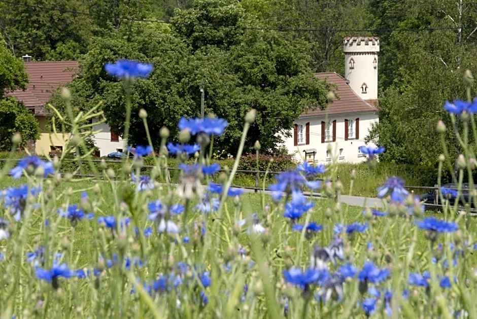 Pension Kastanienhof