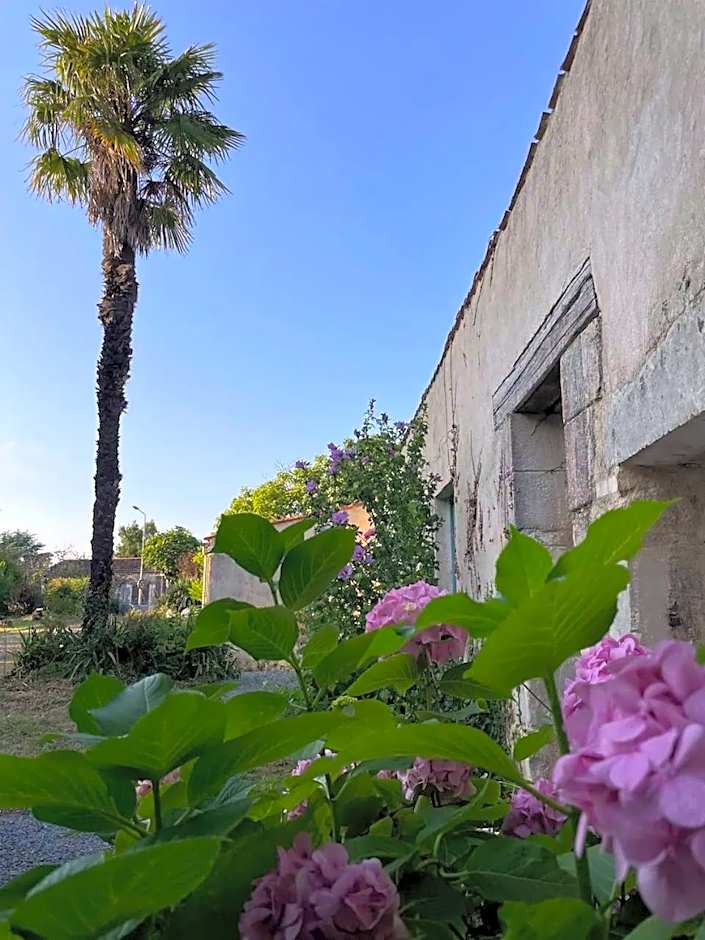 Domaine Manilea - Piscine - Proche Océan