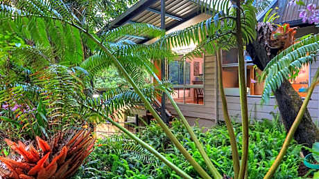 Chambers Wildlife Rainforest Lodges