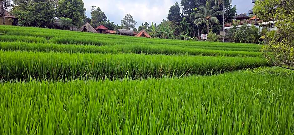 Uma Nirmala Aling-Aling