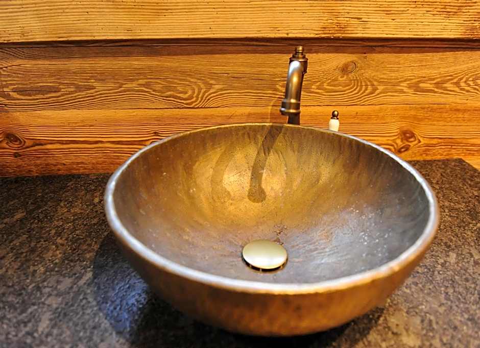 Ski in Ski out Hotel Unterellmau