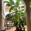 Riad Tidar by Phoenix