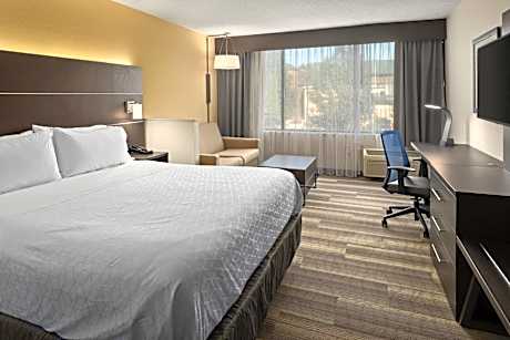 Standard King Room with Sofa Bed