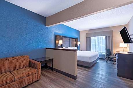 1 King Bed Studio Suite Non-Smoking