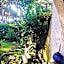 La casa di Nataly