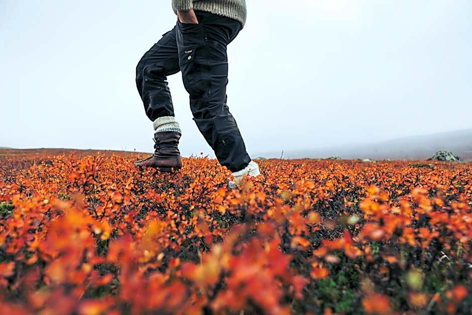 Lapland Hotels Riekonlinna