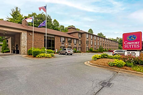 Comfort Suites Boone - University Area