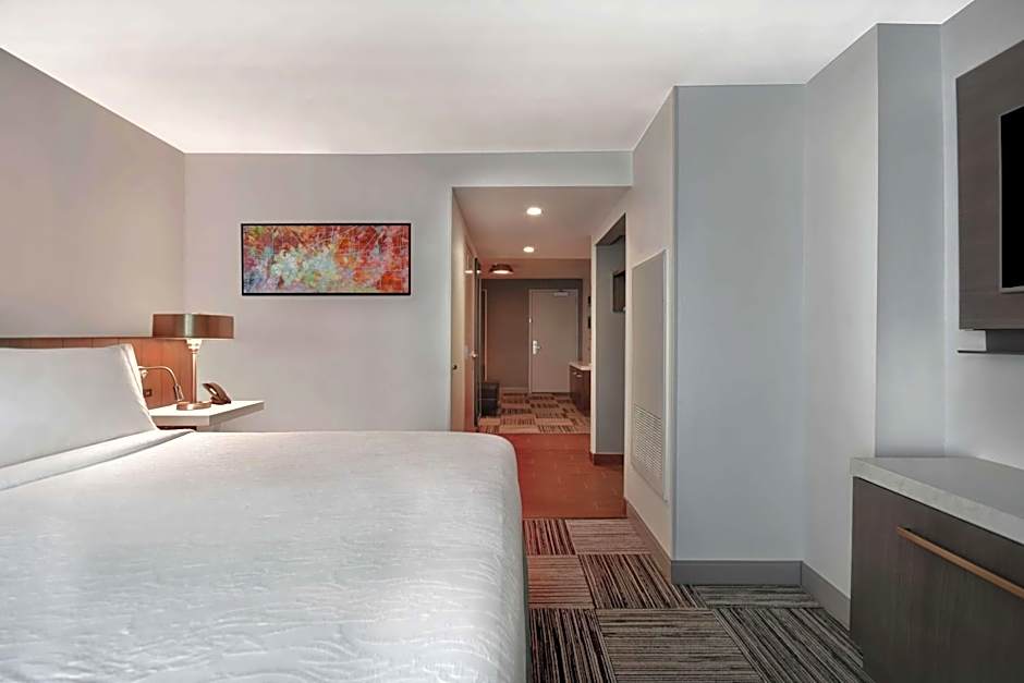 Hilton Garden Inn Houston/Galleria Area