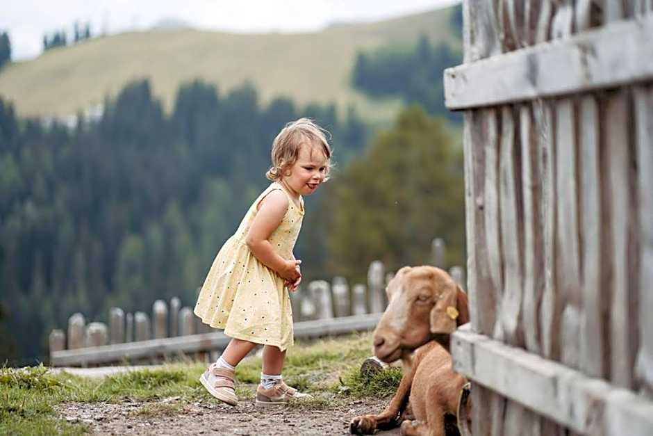 Gehwolfalm Berghotel