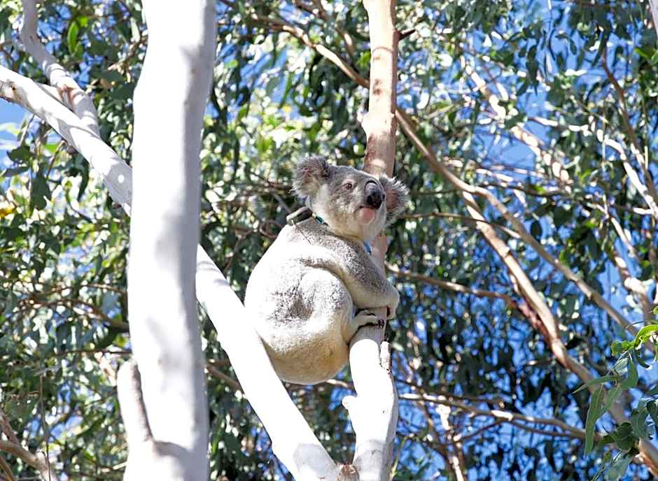 Spicers Hidden Vale