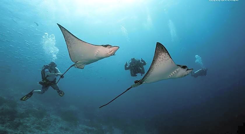Summer Vibes Beach Front Maldives