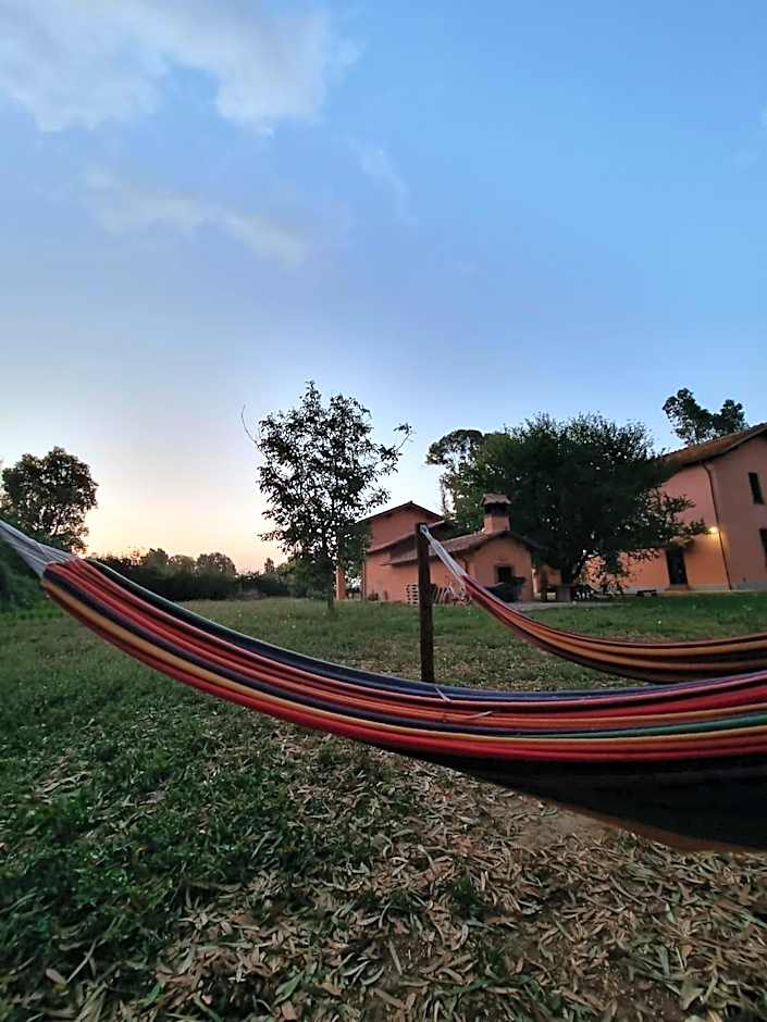 Escuelita Viva