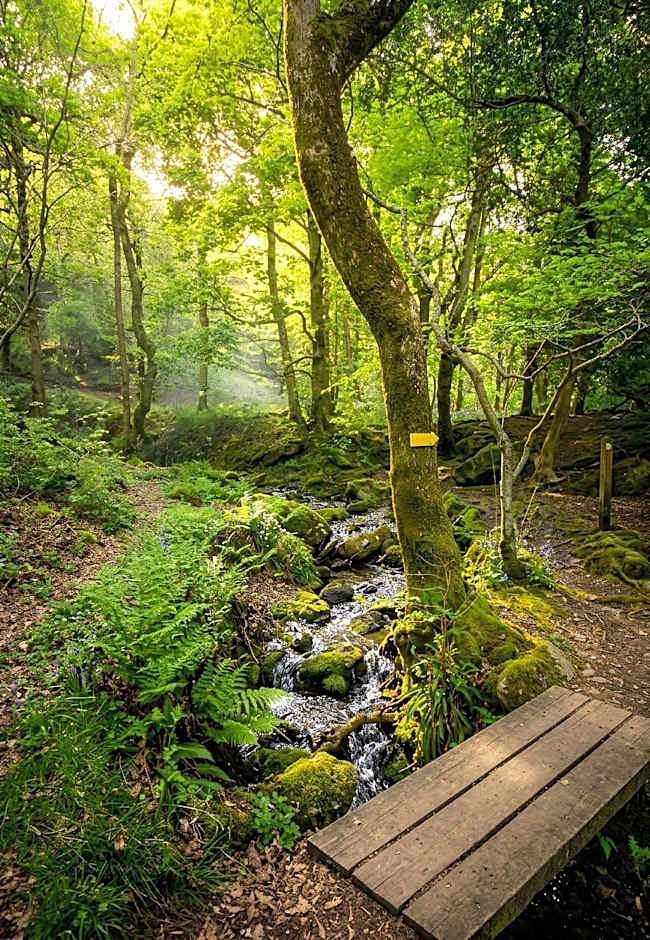Aberdunant Hall Holiday Park, Snowdonia
