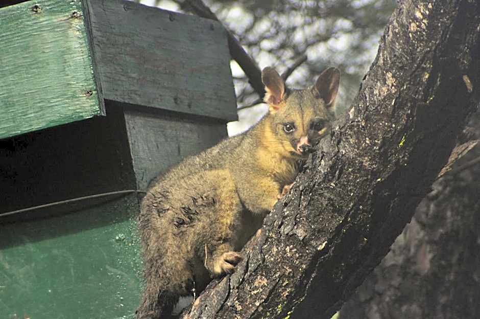 By the Beach B&B Self Contained Apartments