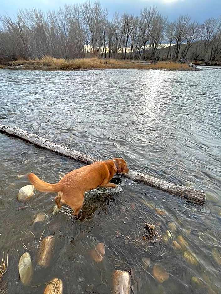 Sportsman Lodge Melrose MT