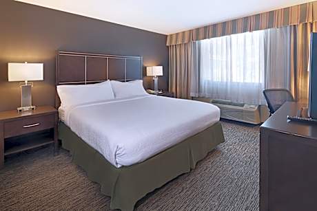 1 King 2 Queen 2 Bedroom Pirates Suite