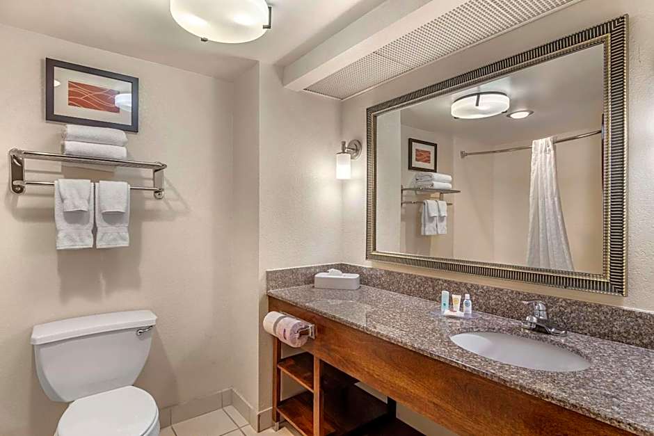 Comfort Inn & Suites Athens North