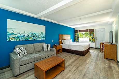 Efficiency King Room -Non Smoking
