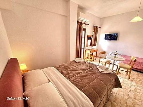 Standard Double or Twin Garden view