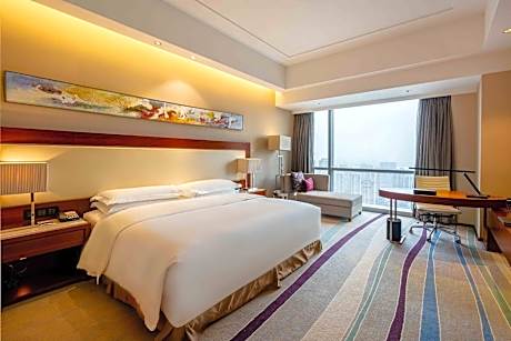 Standard King Room with City View