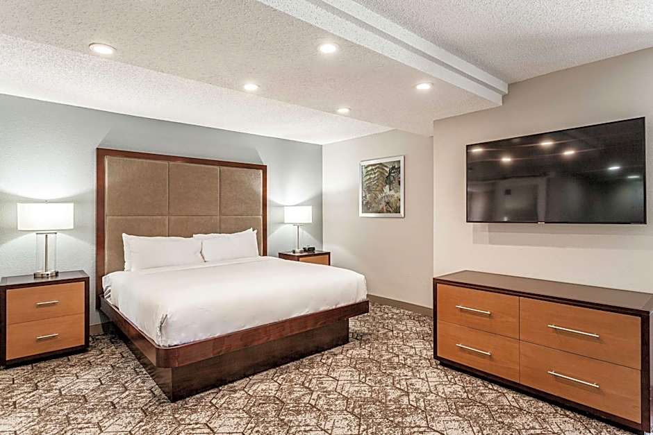 DoubleTree By Hilton Hotel Memphis