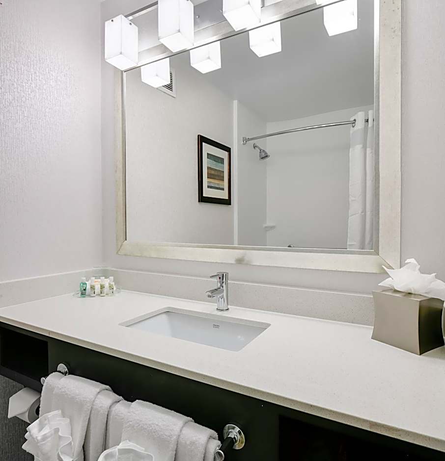 Holiday Inn Hotel & Suites Overland Park-West By IHG