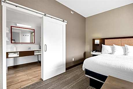 1 King Microwv/Fridge/Wet Bar Studio Suite Ns