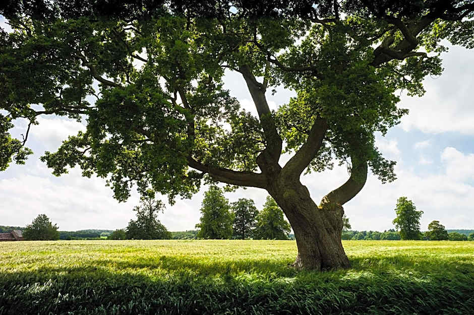 Edenhall Country Hotel