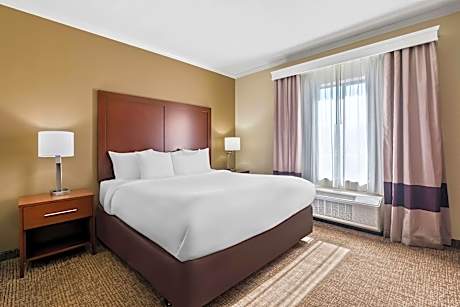 1 King Bed, Suite, Nonsmoking, Accessible
