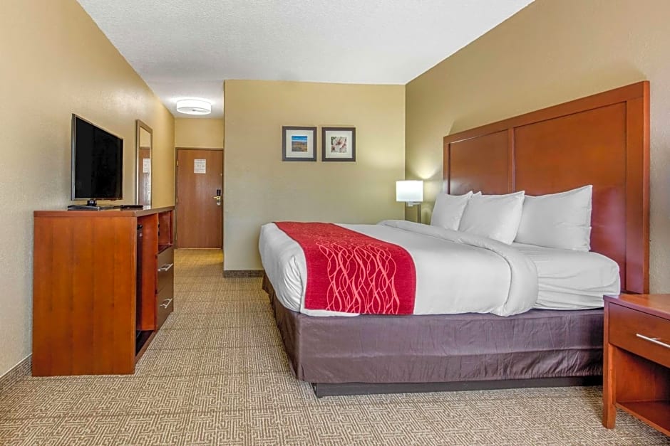 Comfort Inn & Suites Mccomb