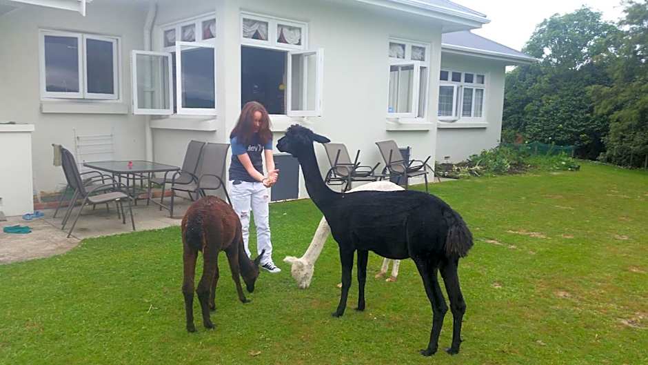 Homestead B&B Cambridge