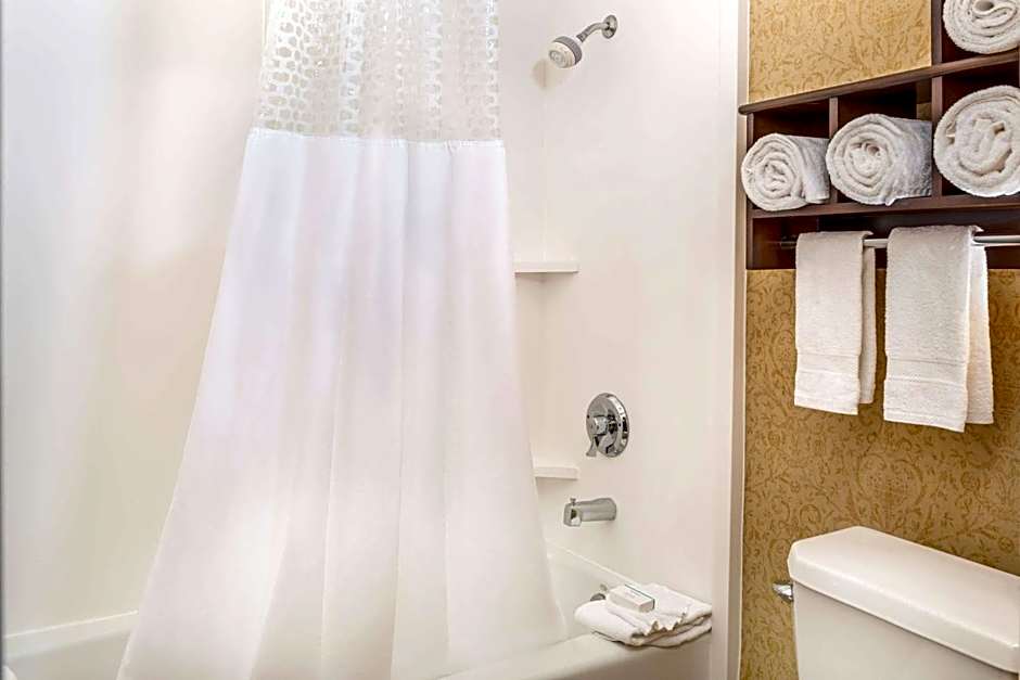 Hampton Inn By Hilton And Suites San Clemente