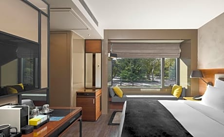 Deluxe Twin Room with Park View