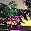 La Locanda Del Pontefice - Luxury Country House