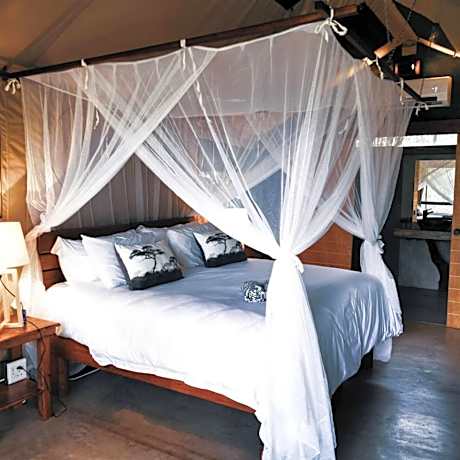 Luxury Tent including two games drives per day