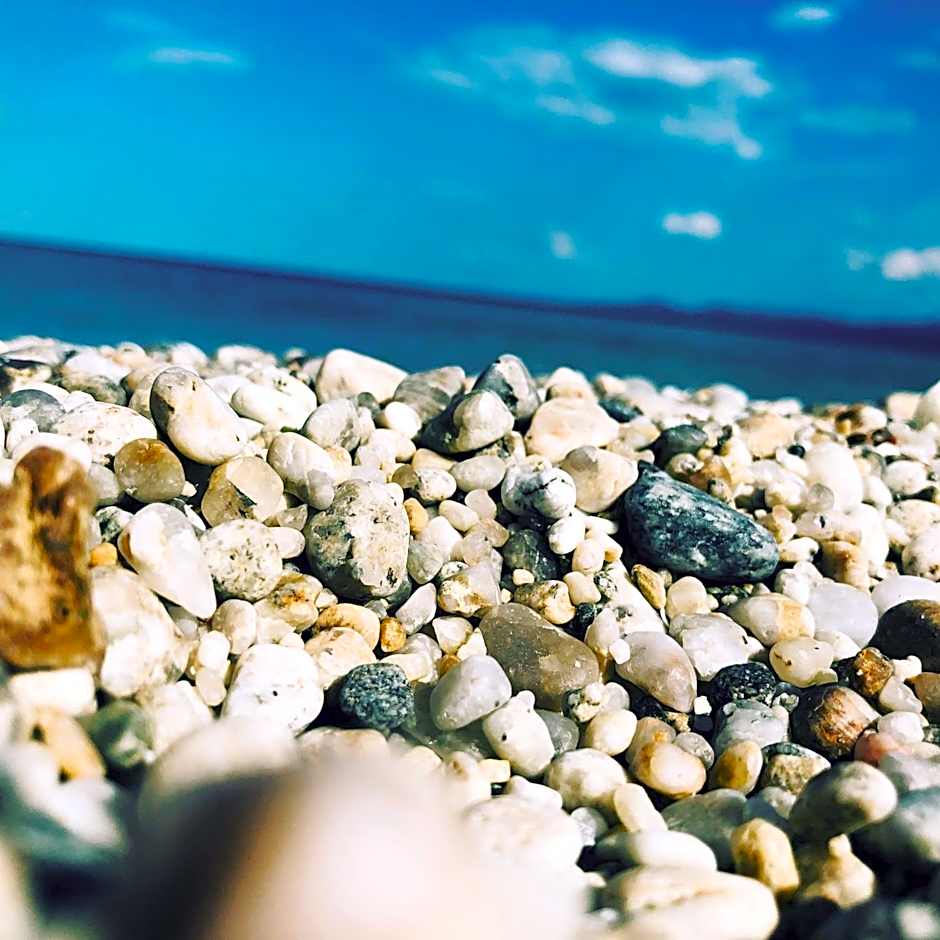 Bella Terra Nature Living