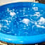 Cerbul Chalét Accommodation & Wellness