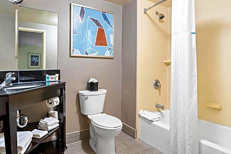 Large King Suite with Sofa bed - Non Smoking