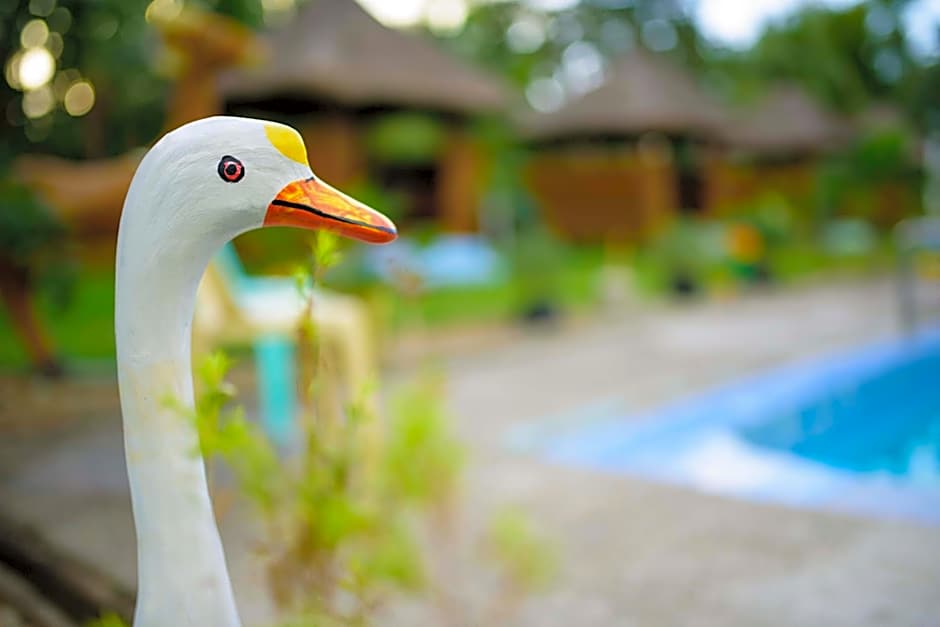 Freedom Eco Adventure Park powered by Cocotel
