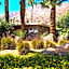 Desert Hills- 21 and Over